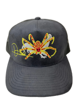 Araña y Gallo